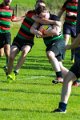 Monaghan 2nd XV Vs Holywood 18_10_2014 (19)